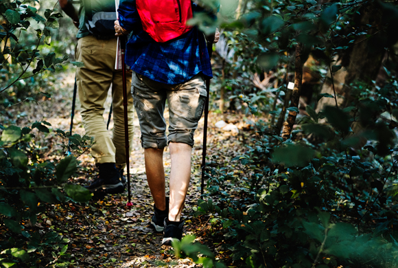 ranakpur-trekking-6.jpg